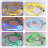 Glow In Dark Dog Leash